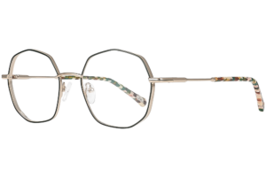 CM489 - L'Ambassadrice